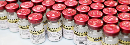 MAS INFORMACIÓN SOBRE VACUNAS