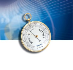 ¿ LLEVA LA RINITIS AL ASMA ? 