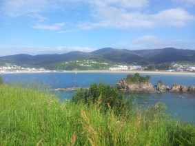 las gramíneas crecen desde el mar al interior