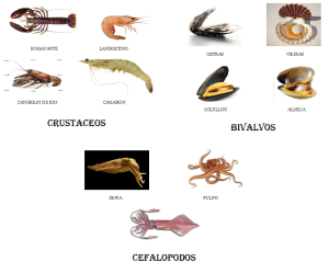 MARISCOS EN GENERAL